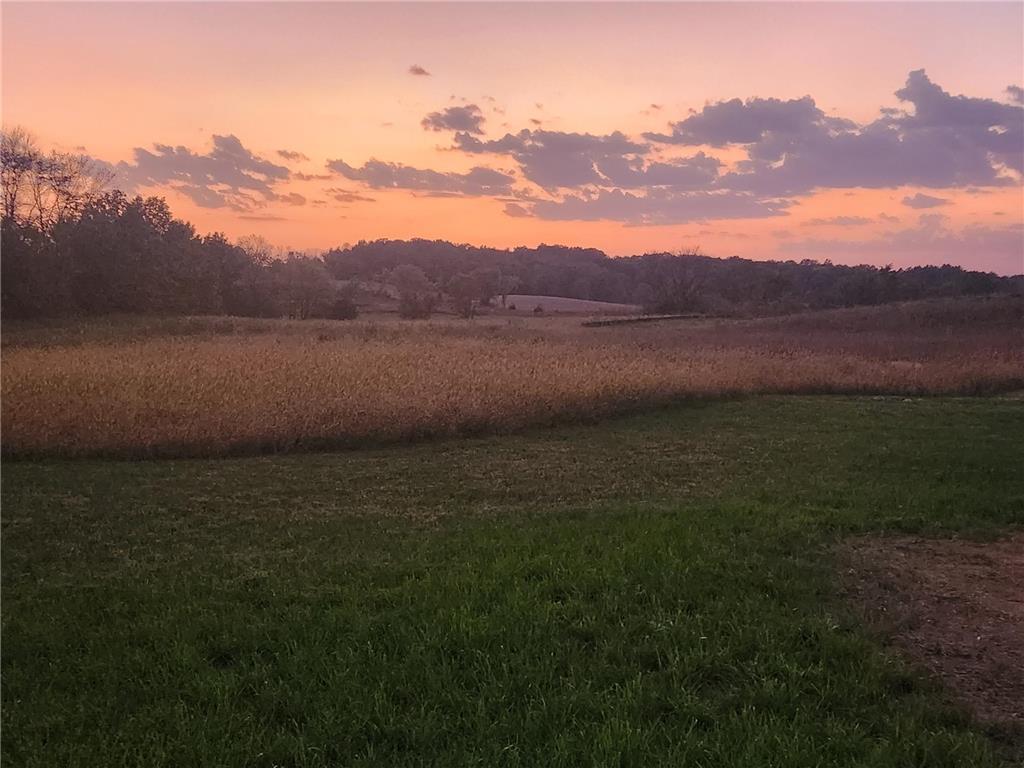 8800 Grace Lane N Greenfield MN 55357 7037058 image6