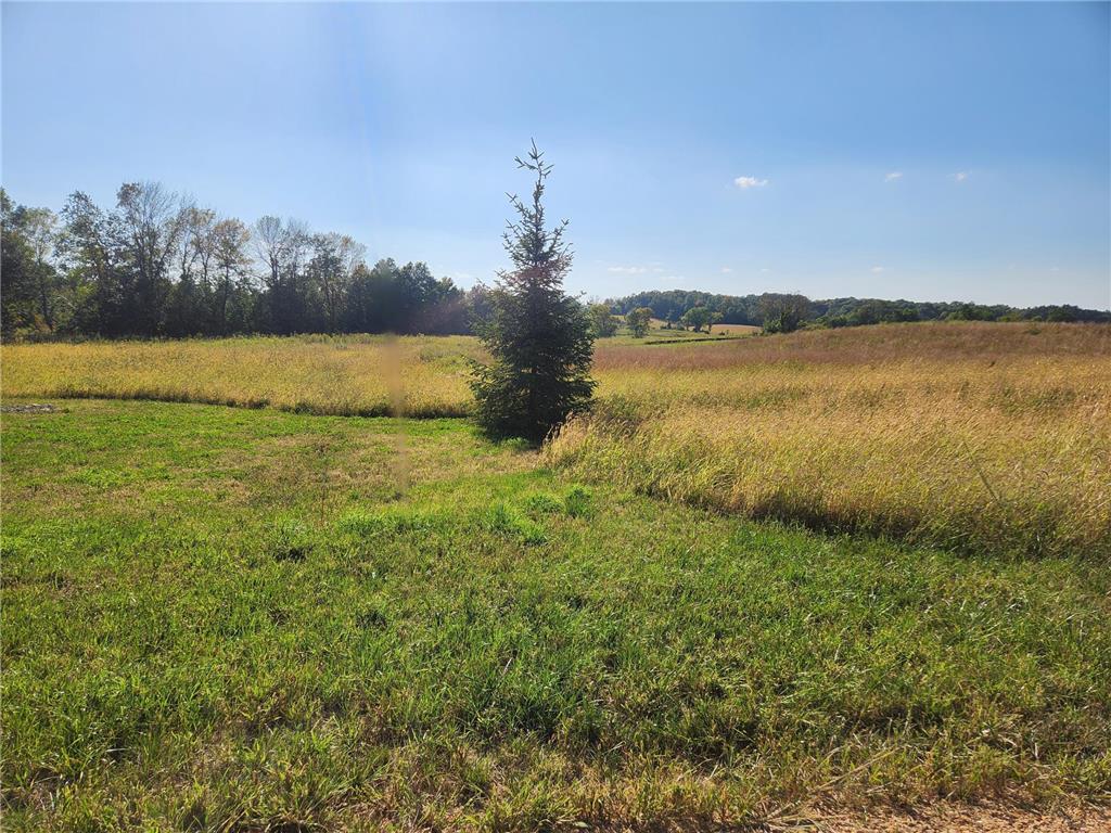 8800 Grace Lane N Greenfield MN 55357 7037058 image63