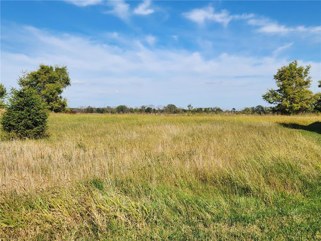 8800 Grace Lane N Greenfield MN 55357 7037058 image64