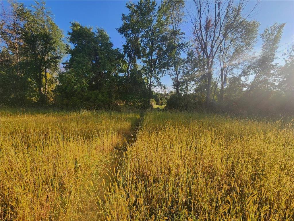 8800 Grace Lane N Greenfield MN 55357 7037058 image71