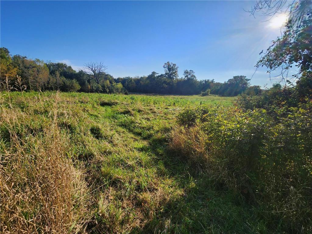 8800 Grace Lane N Greenfield MN 55357 7037058 image72