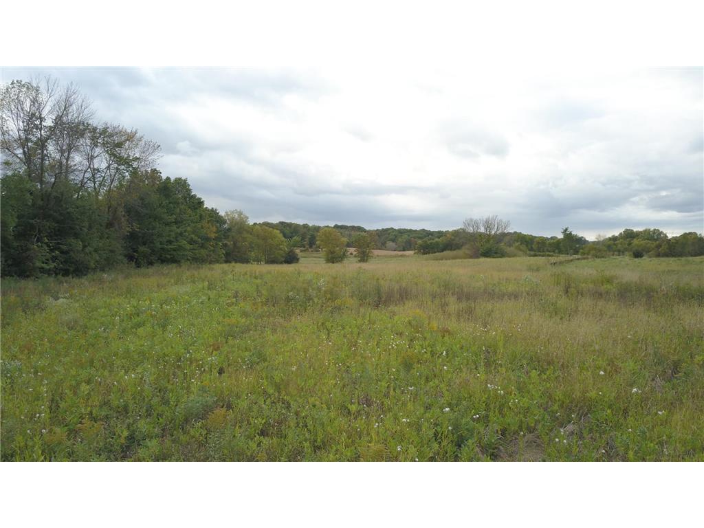 8800 Grace Lane N Greenfield MN 55357 7037058 image73