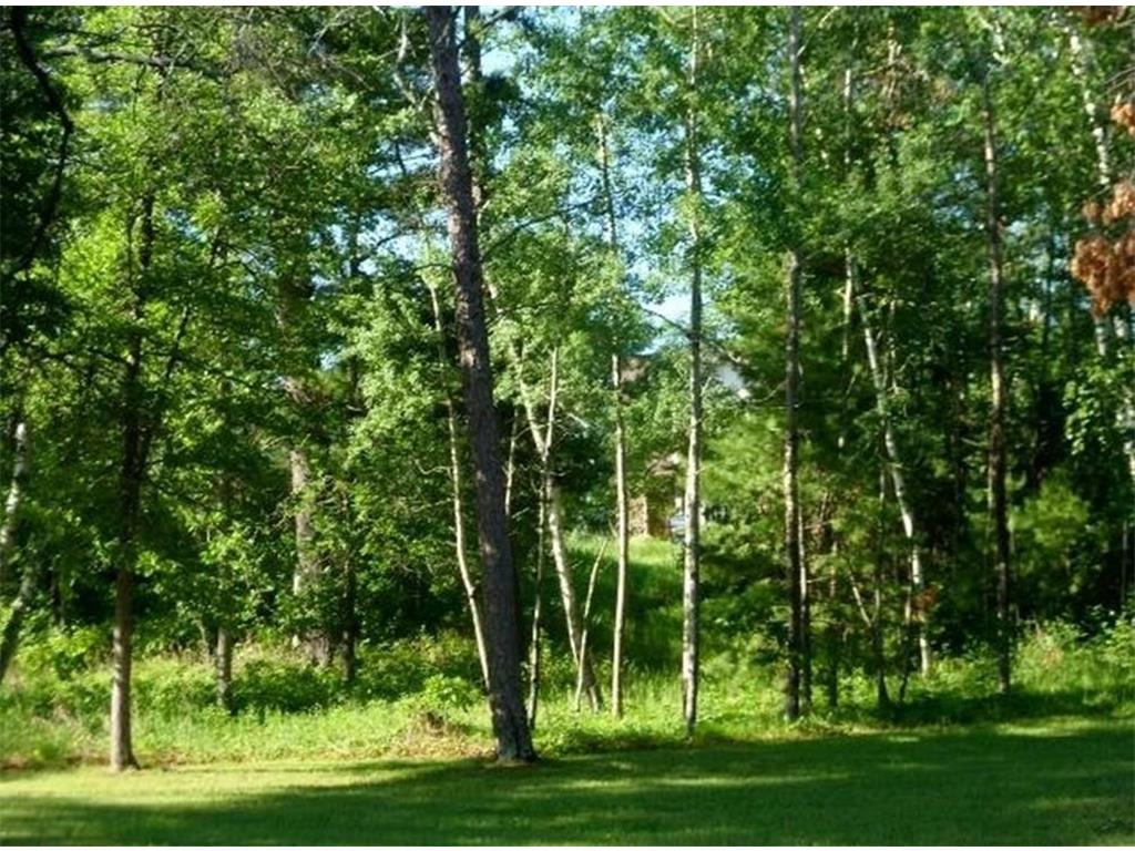 8809 Kabekona Ridge Drive NW Walker MN 56484 - Leech Lake 6353593 image18