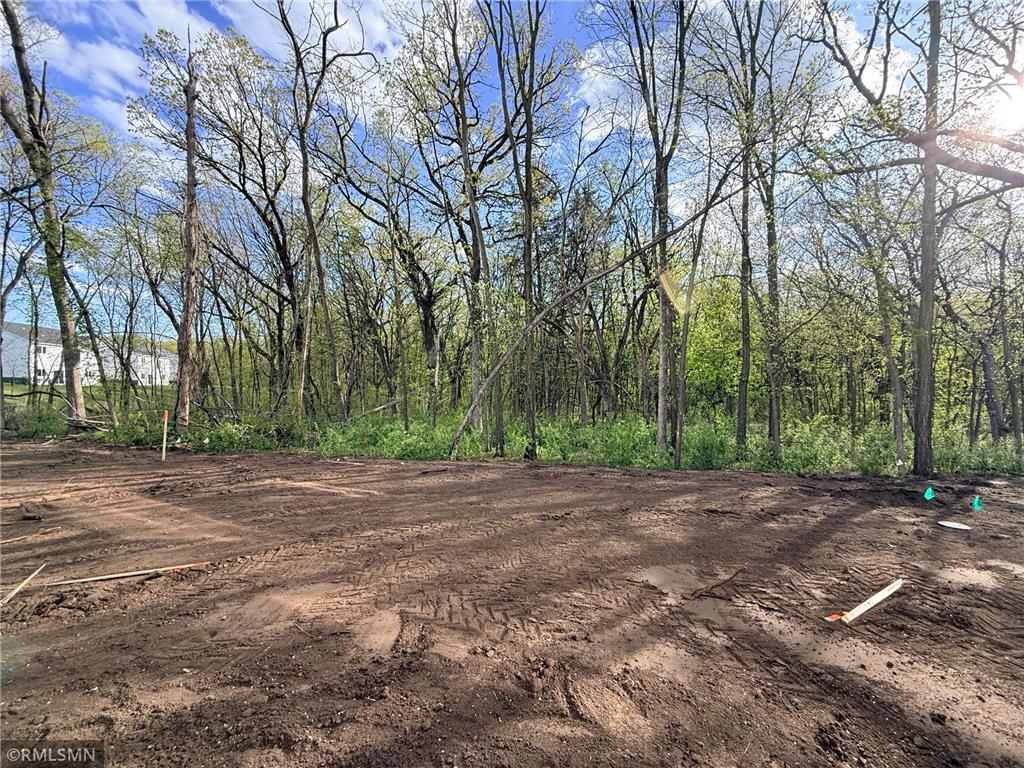 8810 147th Avenue NW Ramsey MN 55303 7068354 image3
