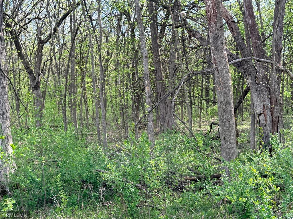 8810 147th Avenue NW Ramsey MN 55303 7068354 image46