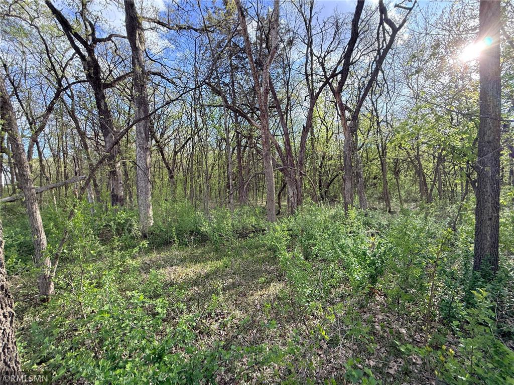 8810 147th Avenue NW Ramsey MN 55303 7068354 image47