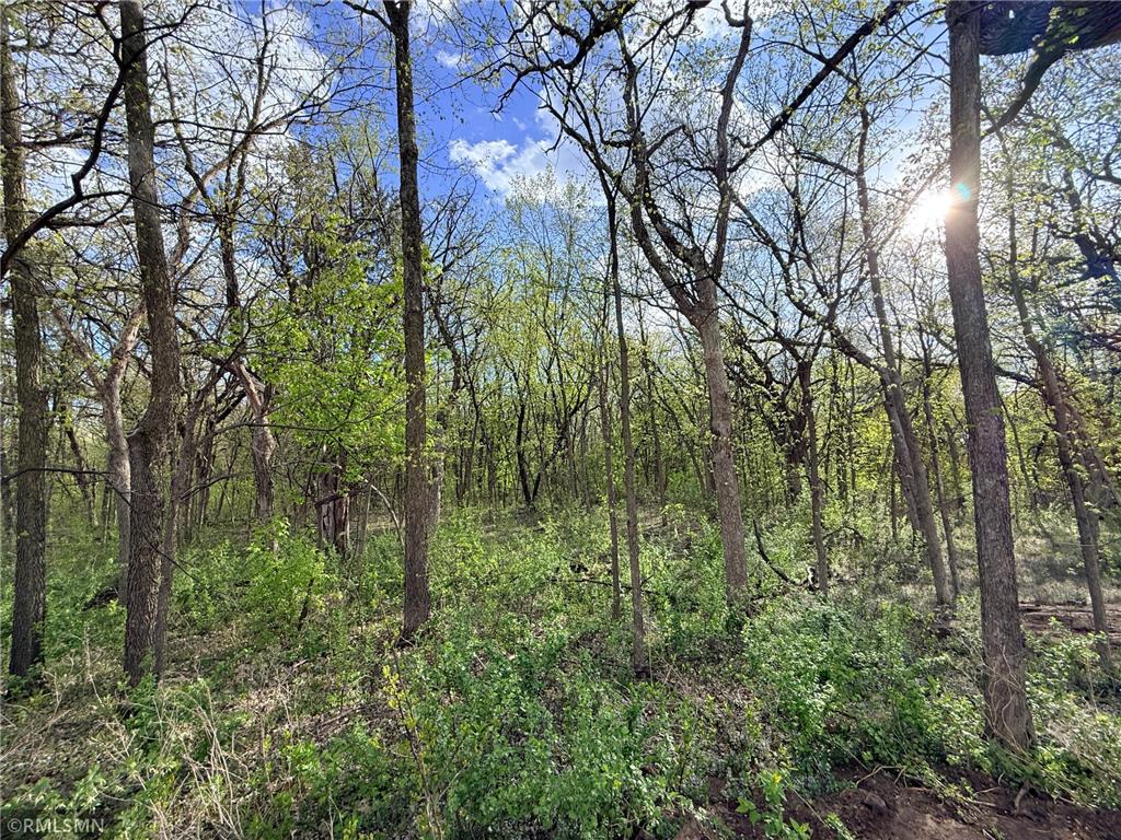 8810 147th Avenue NW Ramsey MN 55303 7068354 image48