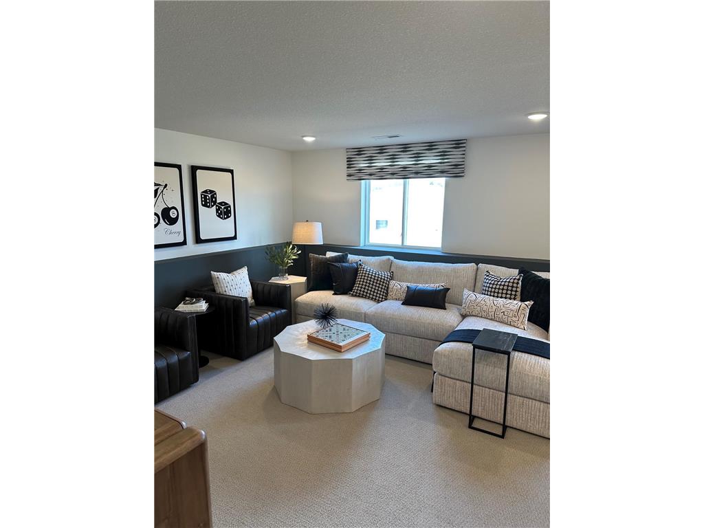 8810 63rd Street S Cottage Grove MN 55016 7044377 image13