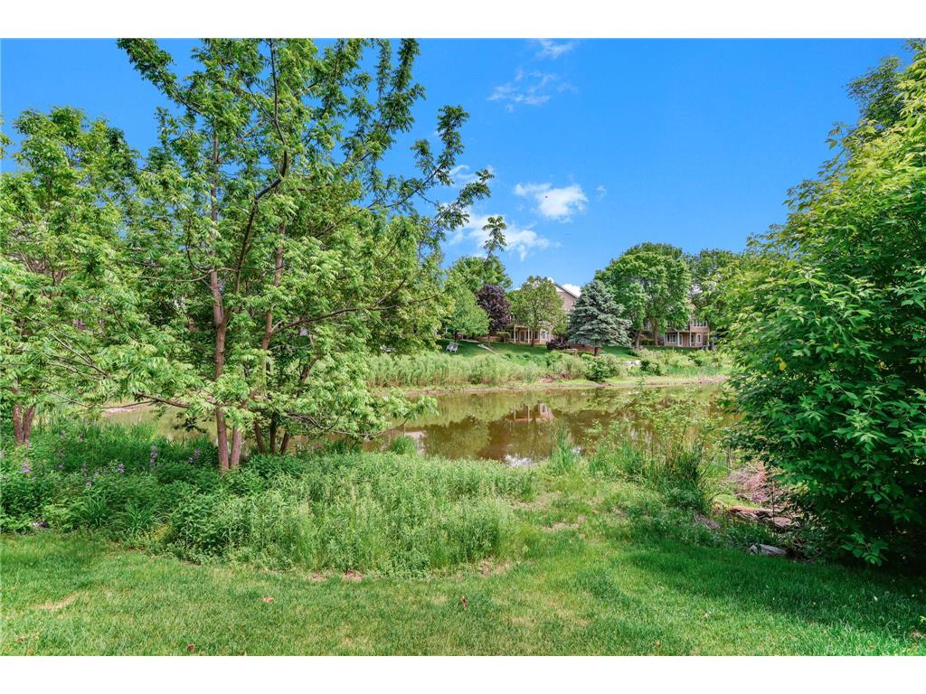 8813 Stonebrooke Court Woodbury MN 55125 6823086 image42