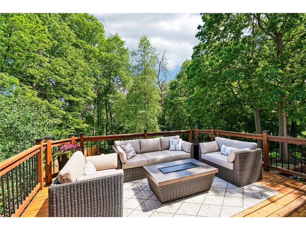 8813 Woodhill Drive Savage MN 55378 7093152 image13