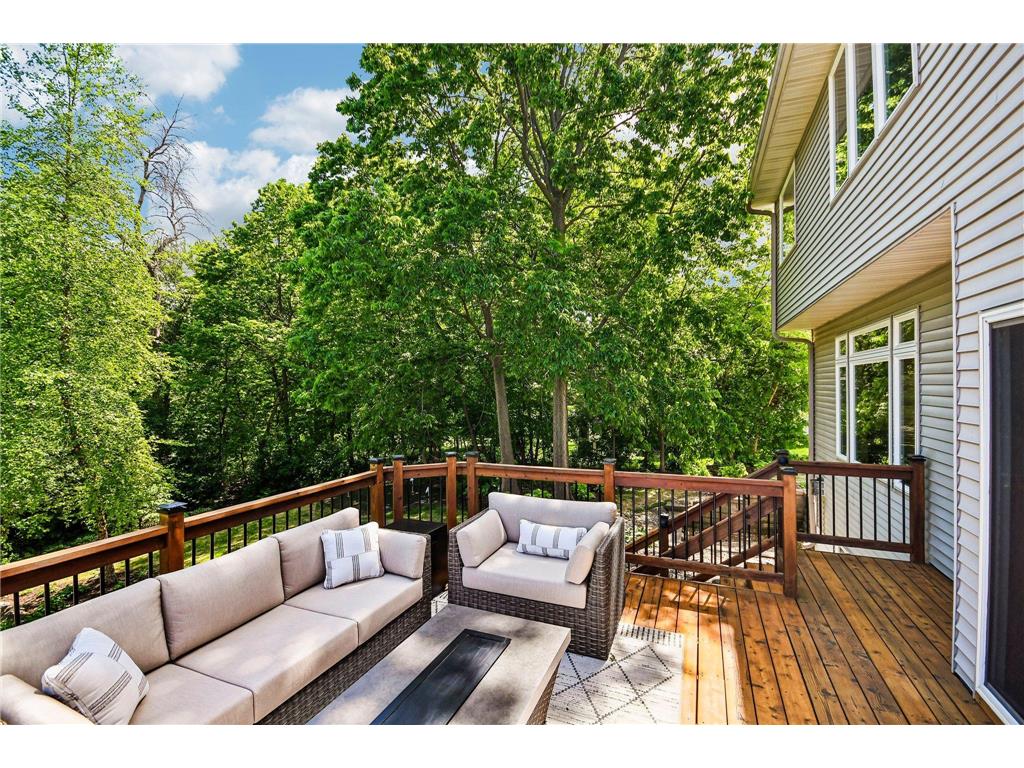 8813 Woodhill Drive Savage MN 55378 7093152 image14