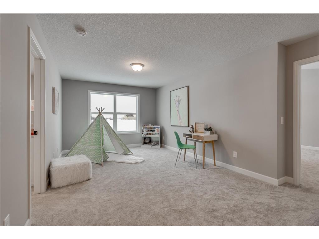 8816 147th Ave NW 147th Avenue NW Ramsey MN 55303 7070075 image28