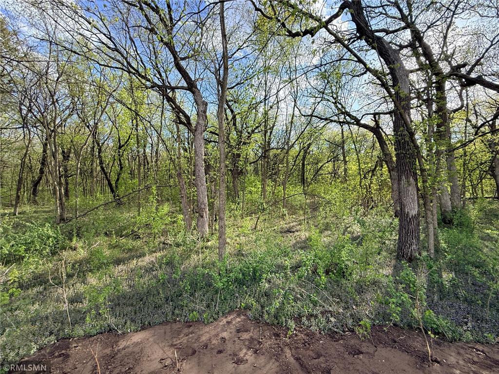 8816 147th Ave NW 147th Avenue NW Ramsey MN 55303 7070075 image9