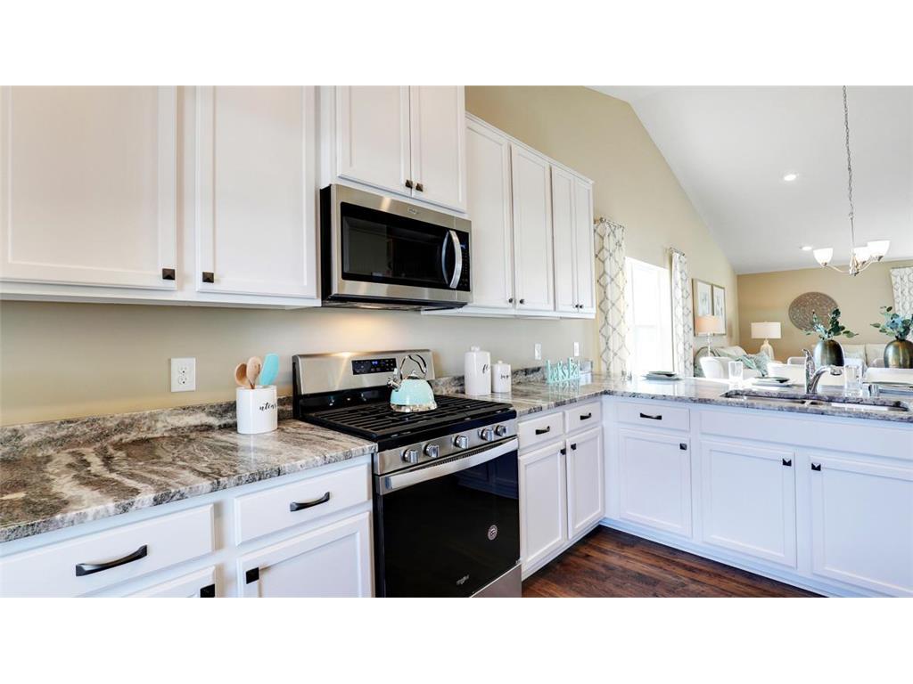 8816 Jorgensen Avenue S Cottage Grove MN 55016 6799602 image4