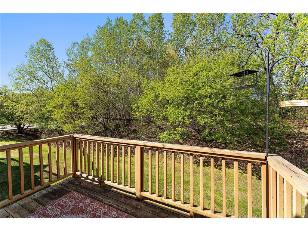 8821 Coffman Path Inver Grove Heights MN 55076 7066697 image26