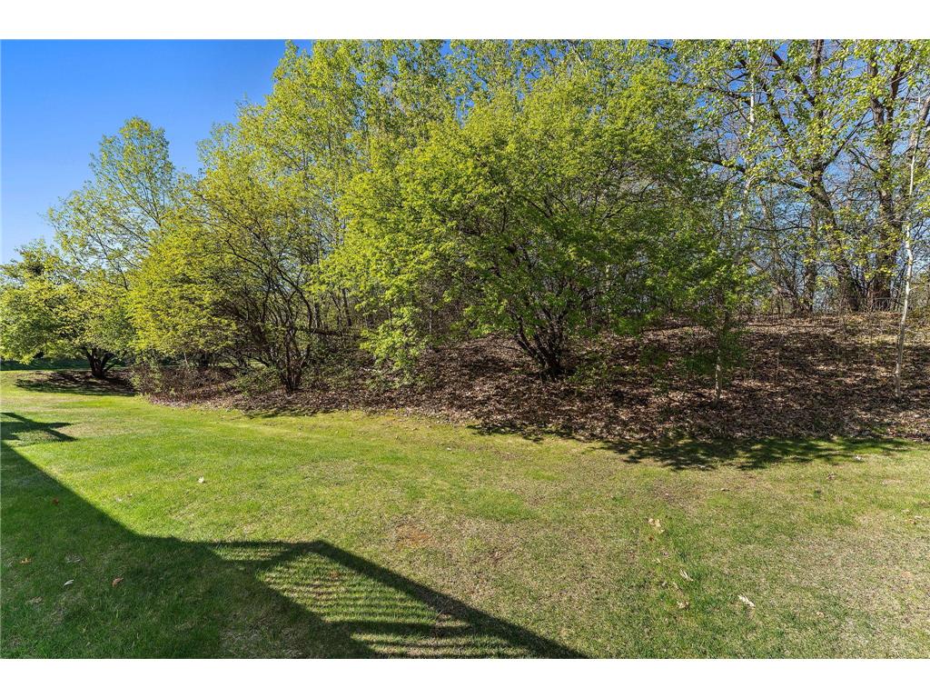 8821 Coffman Path Inver Grove Heights MN 55076 7066697 image29