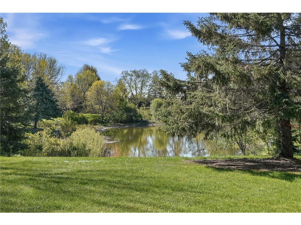 8821 Stonebrooke Court Woodbury MN 55125 7069769 image13
