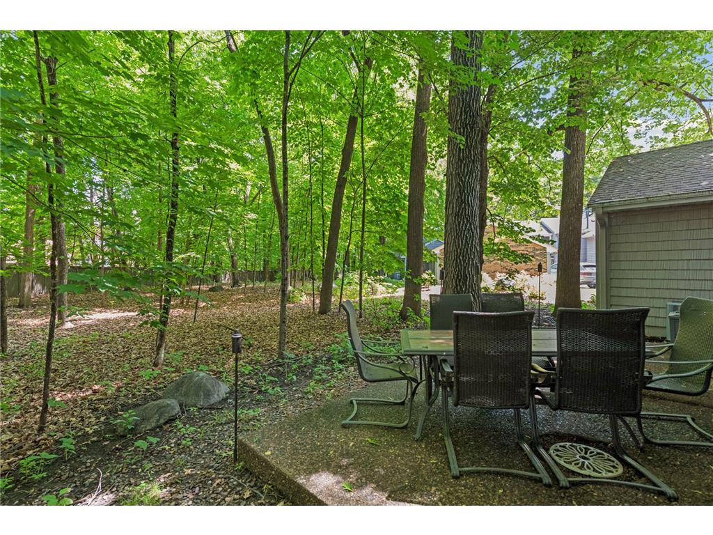 8823 Basswood Road Eden Prairie MN 55344 7084047 image33