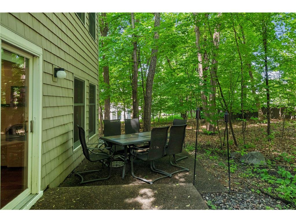 8823 Basswood Road Eden Prairie MN 55344 7084047 image34
