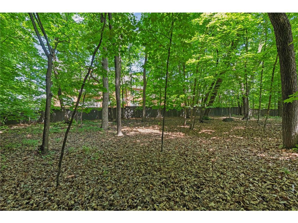 8823 Basswood Road Eden Prairie MN 55344 7084047 image36