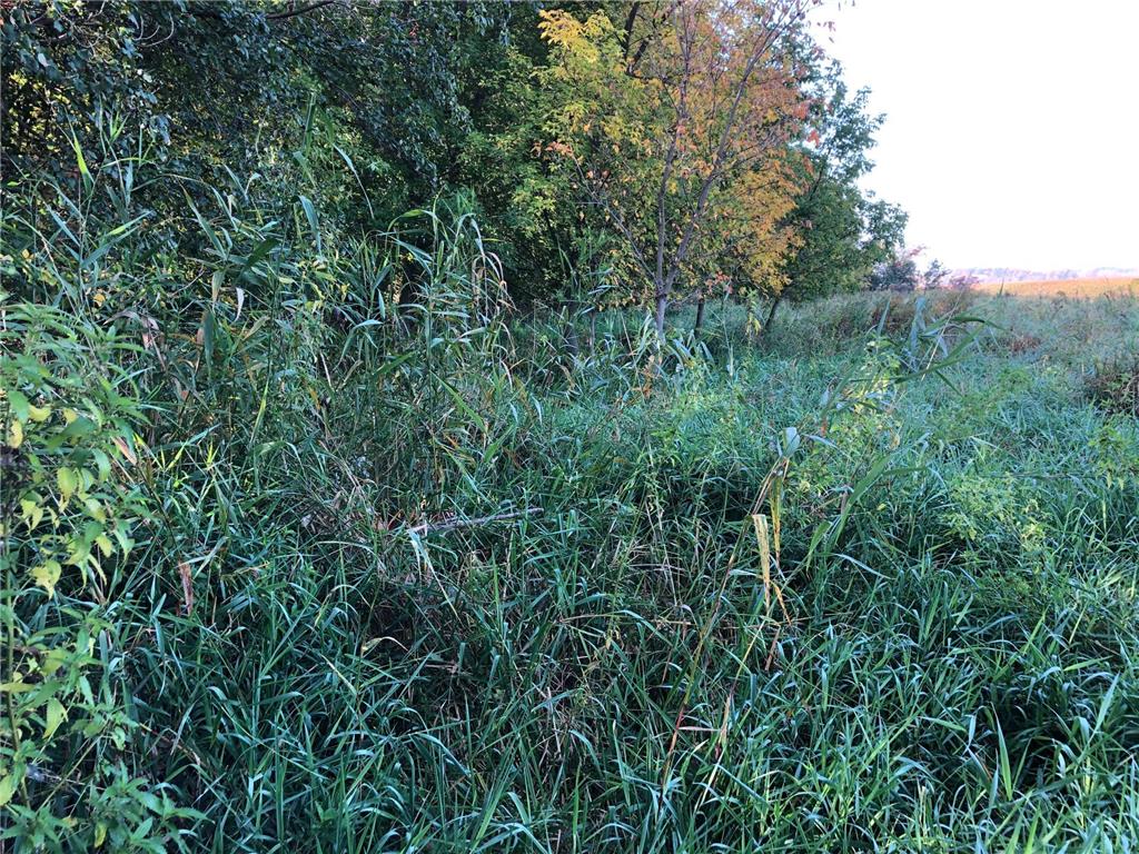 TBD Basil Road Road, Swanville, MN, 56382 MLS 6218940 Edina Realty