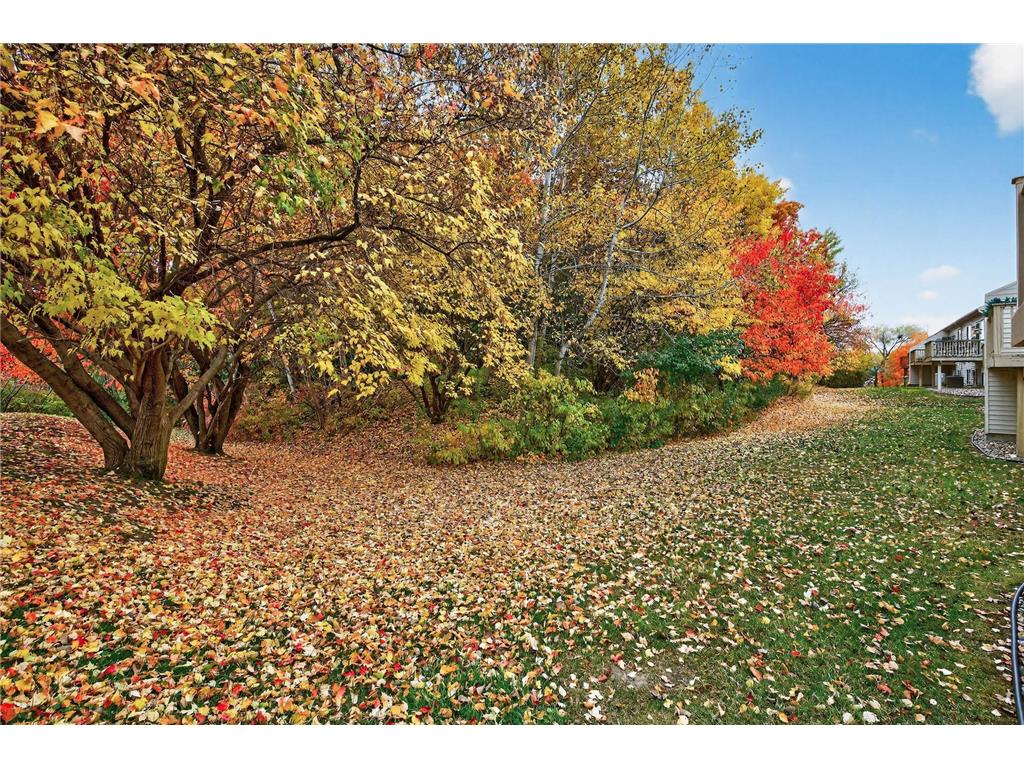 8827 Coffman Path Inver Grove Heights MN 55076 6825278 image16