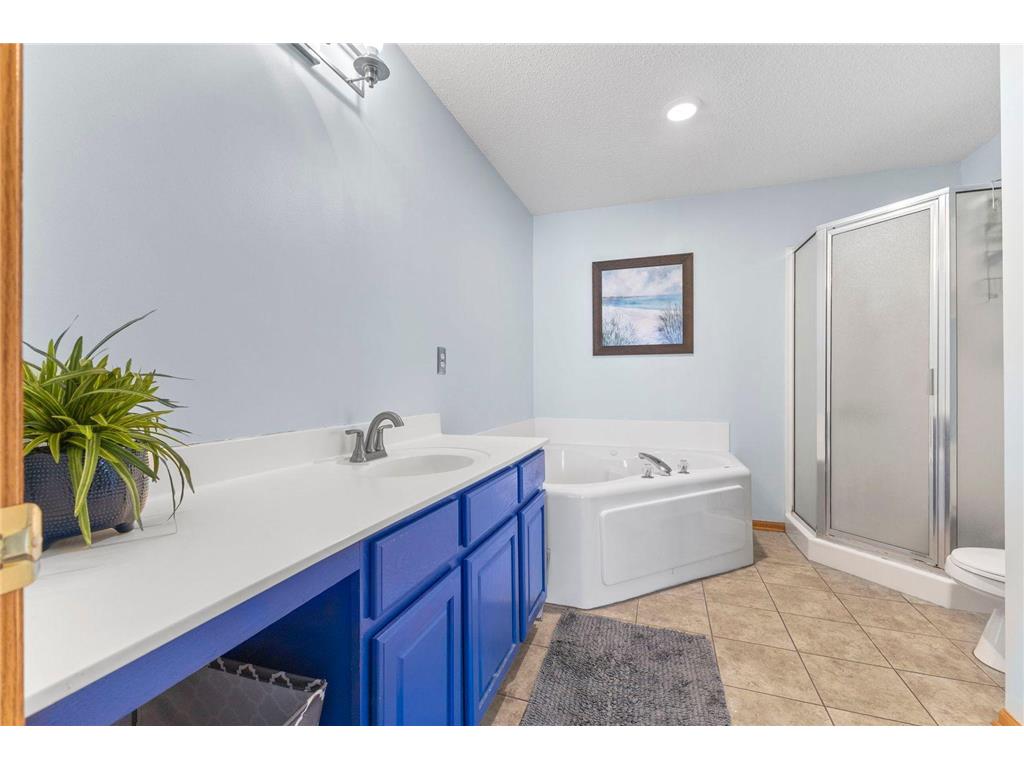 8828 Brunell Way Inver Grove Heights MN 55076 7079316 image15