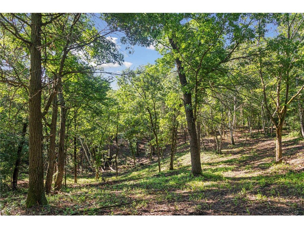 883 174th Avenue Somerset WI 54017 7008576 image10