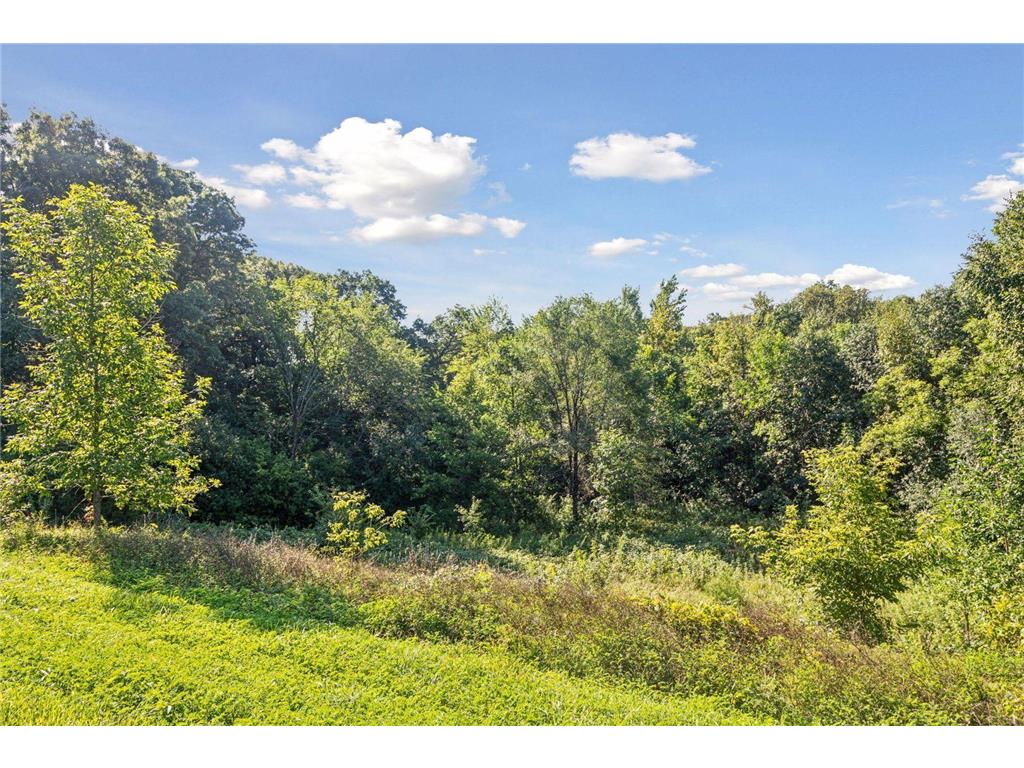 883 174th Avenue Somerset WI 54017 7008576 image11