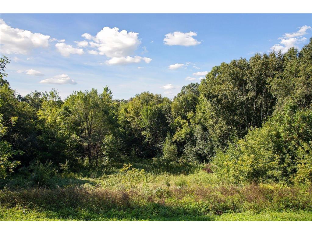 883 174th Avenue Somerset WI 54017 7008576 image12