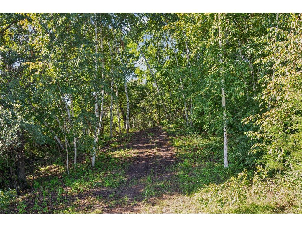 883 174th Avenue Somerset WI 54017 7008576 image9