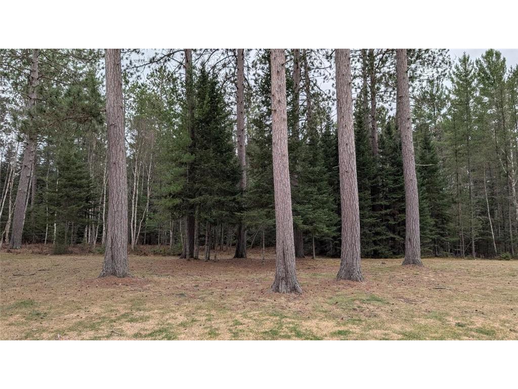 8832 River Road Angora MN 55703 - Sturgeon River 7053229 image36