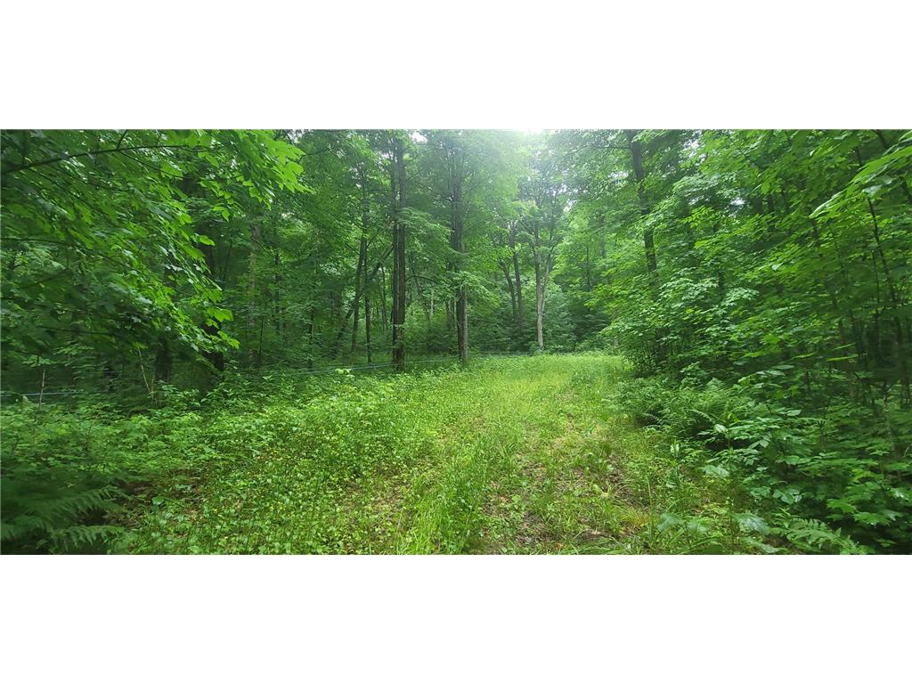 88355 County Highway F Butternut WI 54514 - Flambeau 6394853 image1