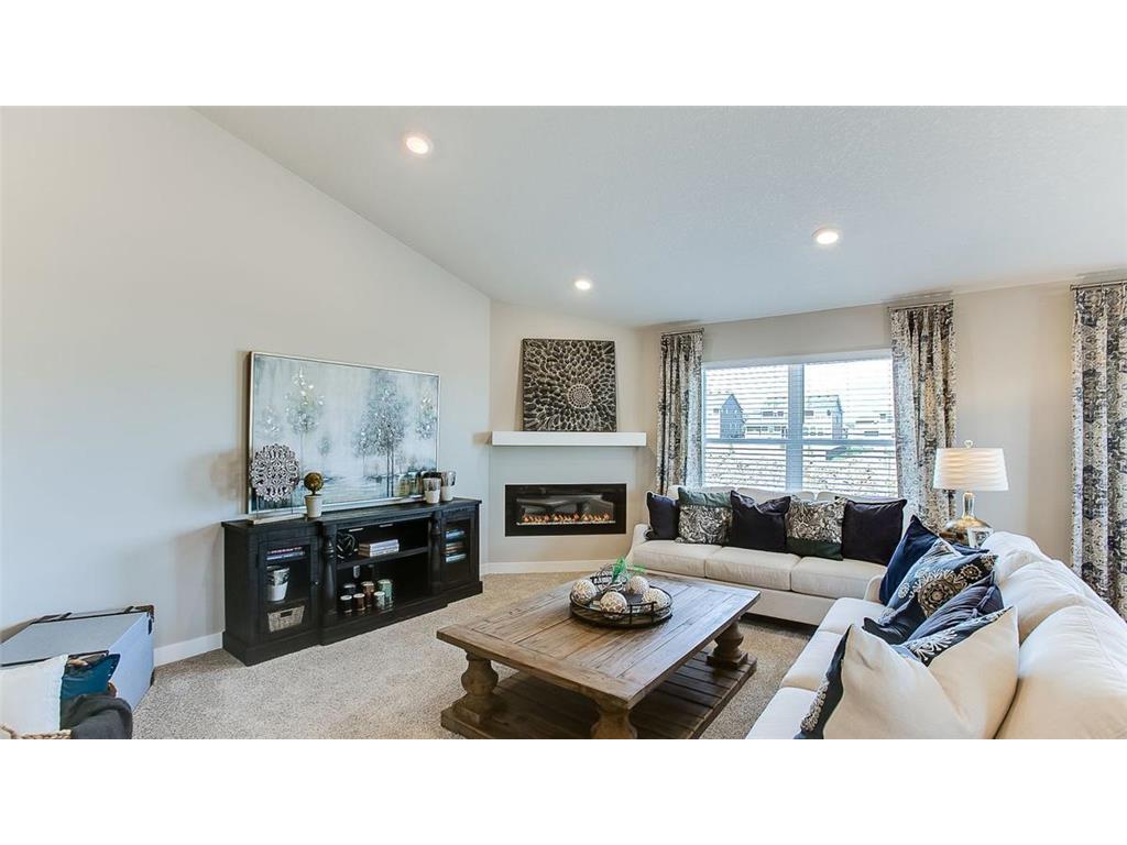 8839 Jorgensen Avenue S Cottage Grove MN 55016 6795008 image9