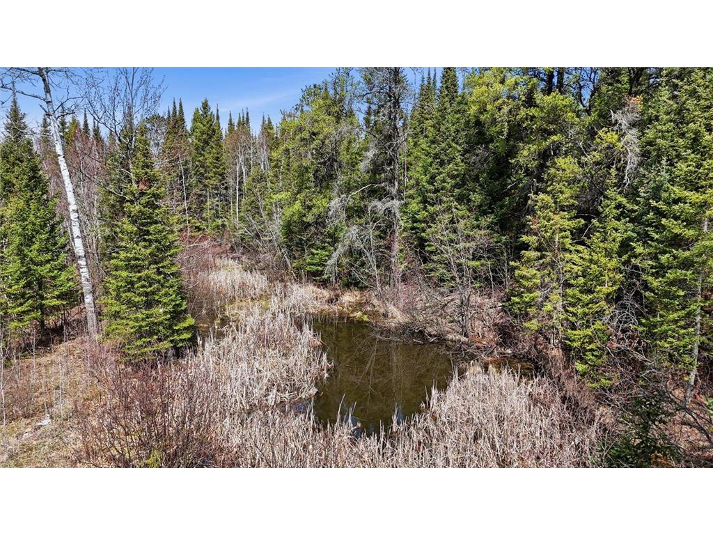 8849 Hwy 25 Angora MN 55703 7071048 image11