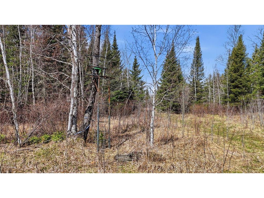 8849 Hwy 25 Angora MN 55703 7071048 image12