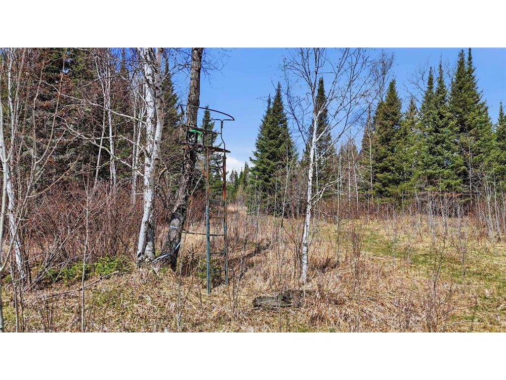 8849 Hwy 25 Angora MN 55703 7071048 image13