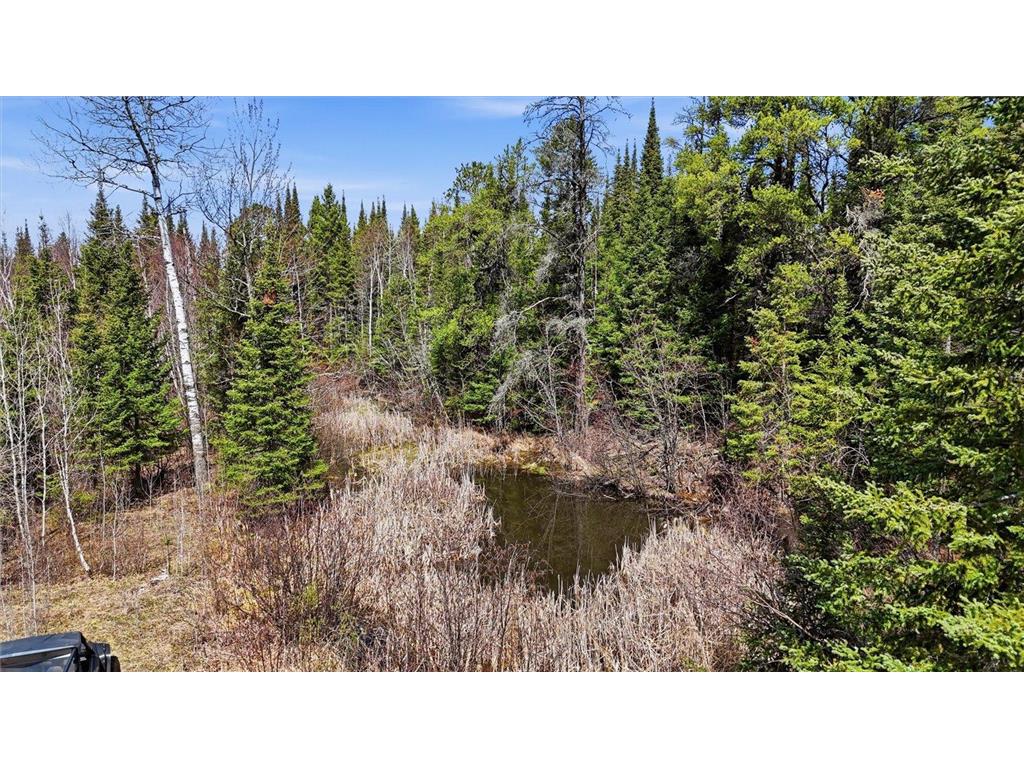 8849 Hwy 25 Angora MN 55703 7071048 image15