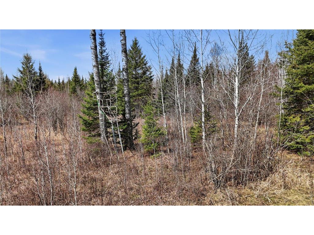 8849 Hwy 25 Angora MN 55703 7071048 image16
