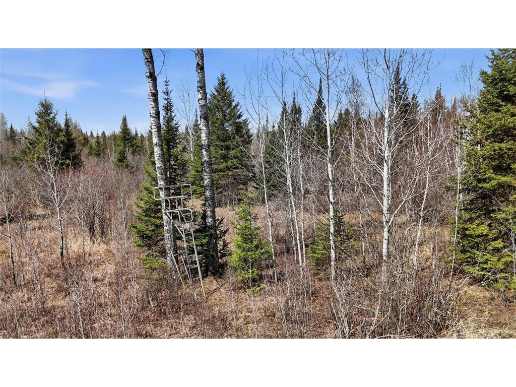 8849 Hwy 25 Angora MN 55703 7071048 image17
