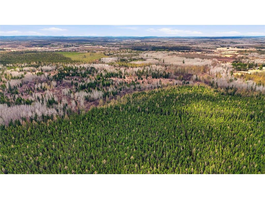 8849 Hwy 25 Angora MN 55703 7071048 image21