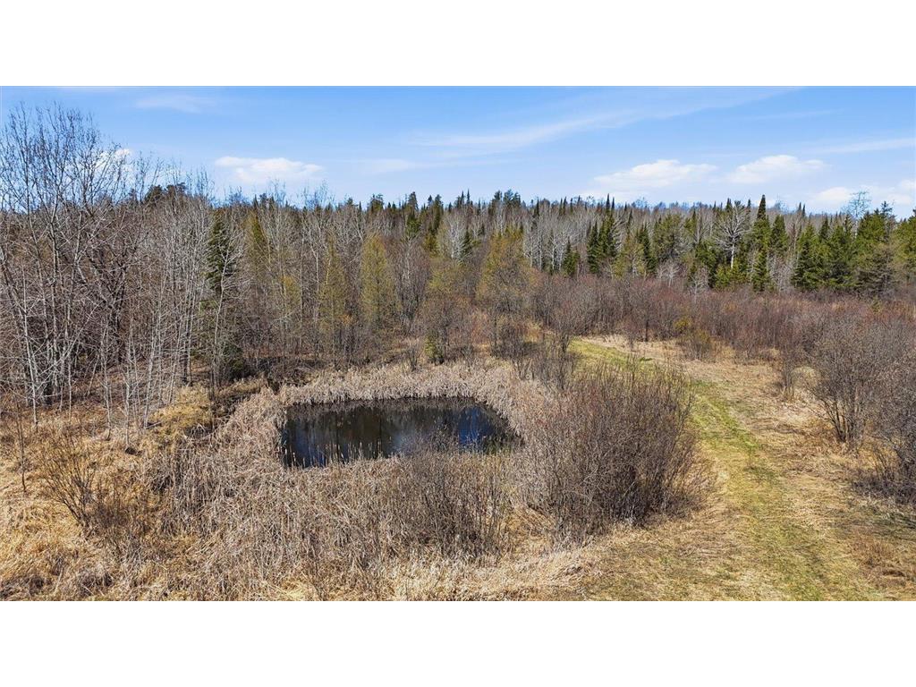 8849 Hwy 25 Angora MN 55703 7071048 image9