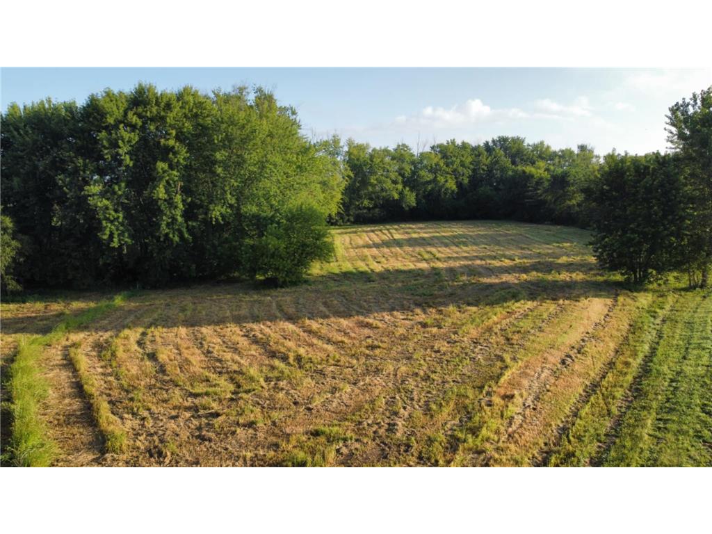 8858 298th Court W Greenvale Twp MN 55057 6774795 image2