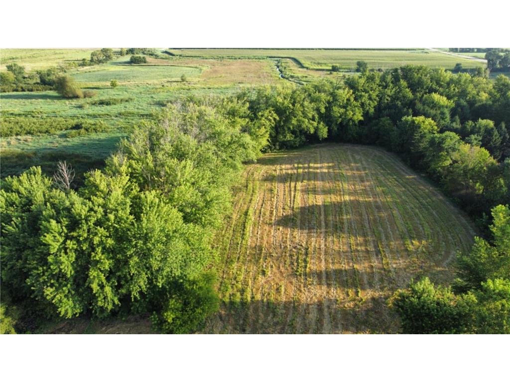 8858 298th Court W Greenvale Twp MN 55057 7051699 image3