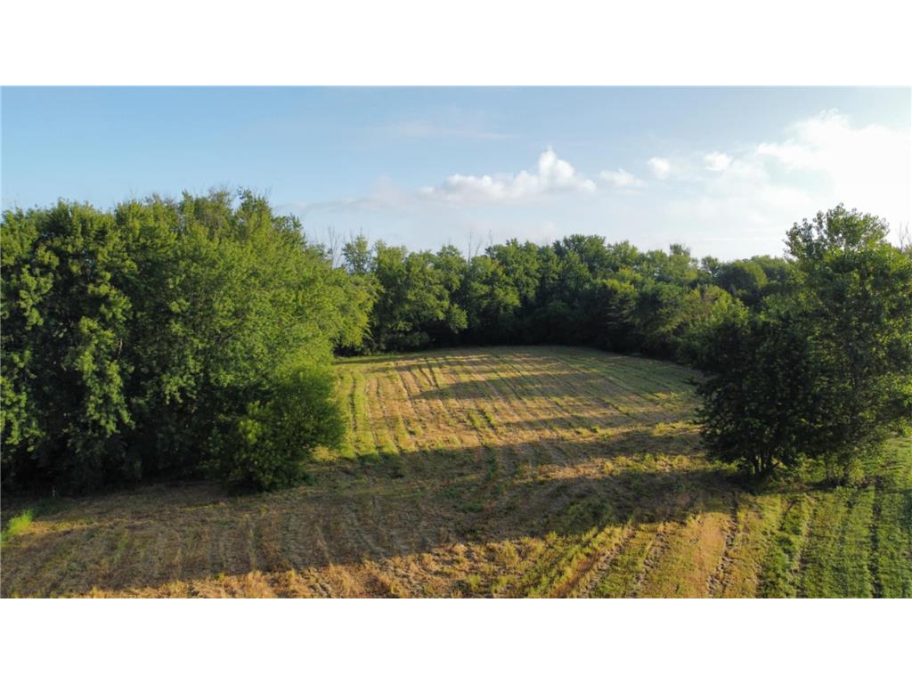 8858 298th Court W Greenvale Twp MN 55057 7051699 image6