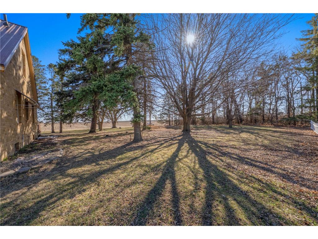 886 141st Street Grange Twp MN 56164 7033594 image18