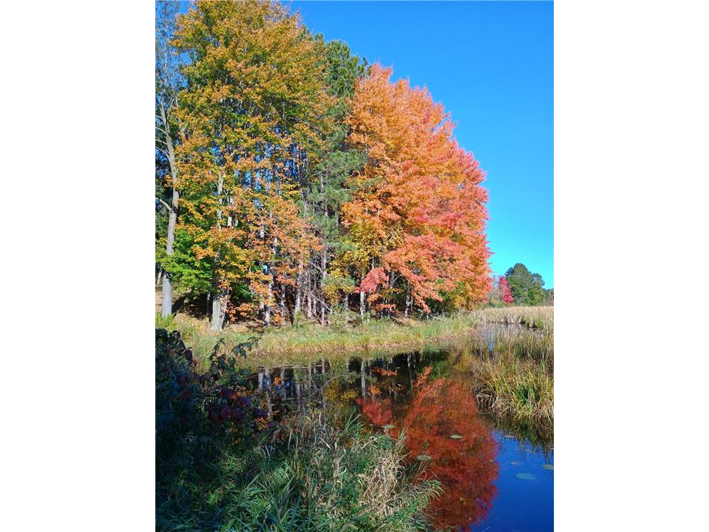 887 68th Avenue Lincoln Twp WI 54001 7065075 image39