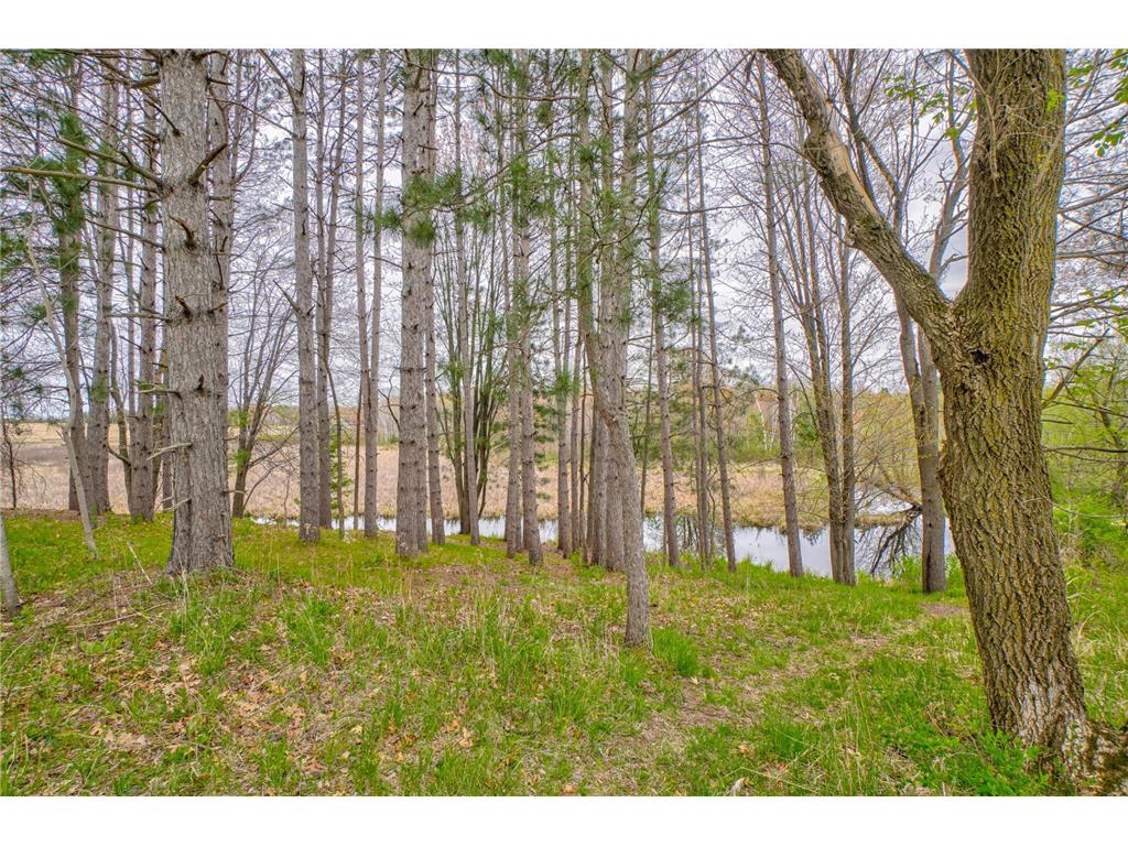887 68th Avenue Lincoln Twp WI 54001 7065075 image42