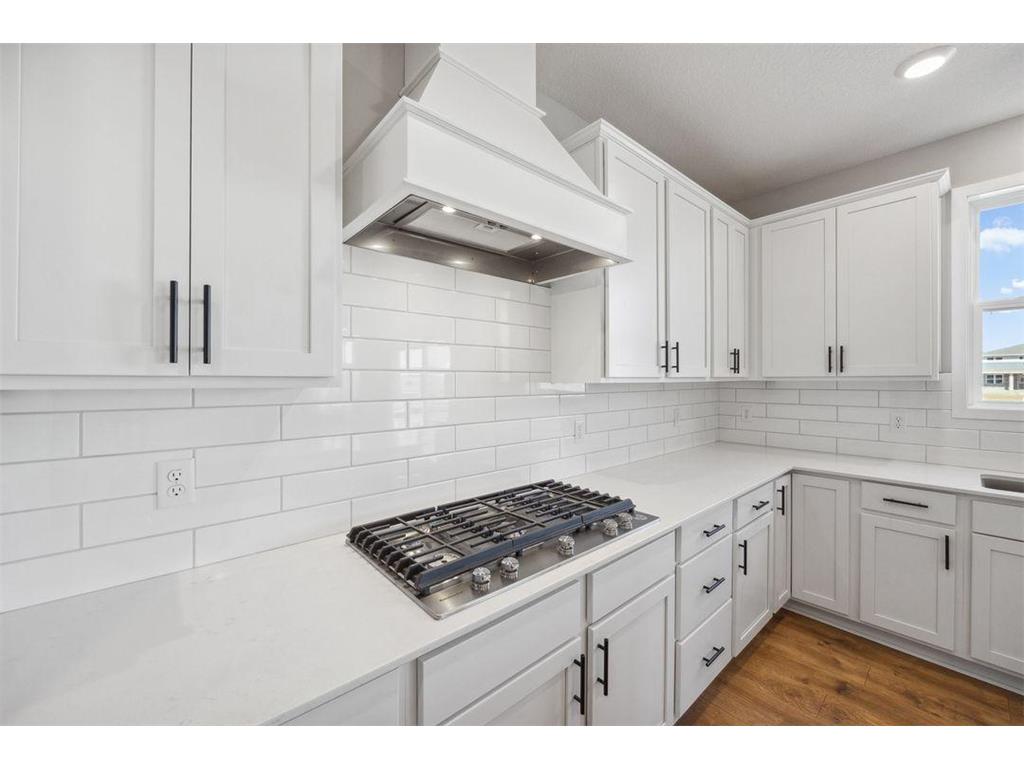 887 Laurel Court Chaska MN 55318 7006190 image14