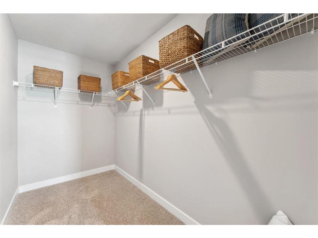887 Laurel Court Chaska MN 55318 7006190 image42
